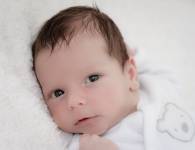 STEPHANIE JAMONT - LEMI PHOTO