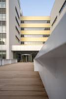 Charly CARDUNER - Visual Light